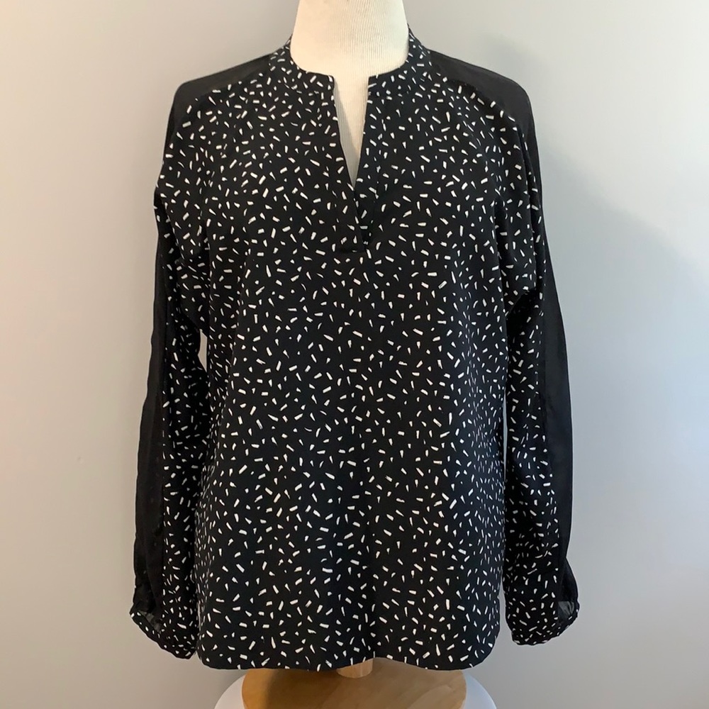 Banana Republic V-Neck Blouse in Black & White